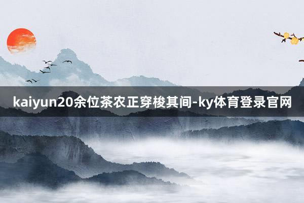 kaiyun20余位茶农正穿梭其间-ky体育登录官网