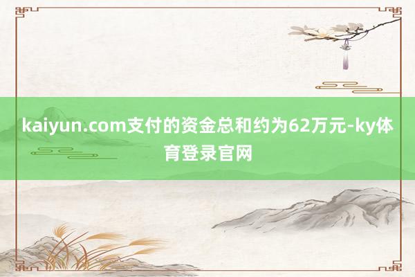 kaiyun.com支付的资金总和约为62万元-ky体育登录官网